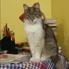 Отзыв от Алена Коршунова